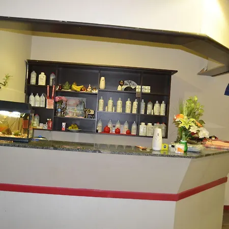 阿尔森酒店 酒店 Arsin